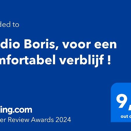 Studio Boris, Voor Een Comfortabel Verblijf ! Apartamento Middelkerke Exterior foto